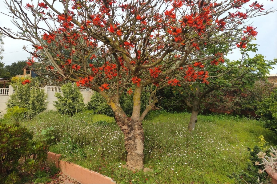 4 Bedroom Property for Sale in Moorreesburg Western Cape